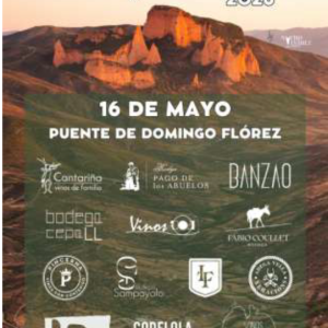 Festival del vino Vignerons