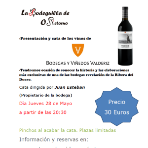 Cata exclusiva Bodegas y Viñedos Valderiz – Ribera del Duero